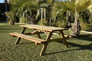 MESA PICNIC